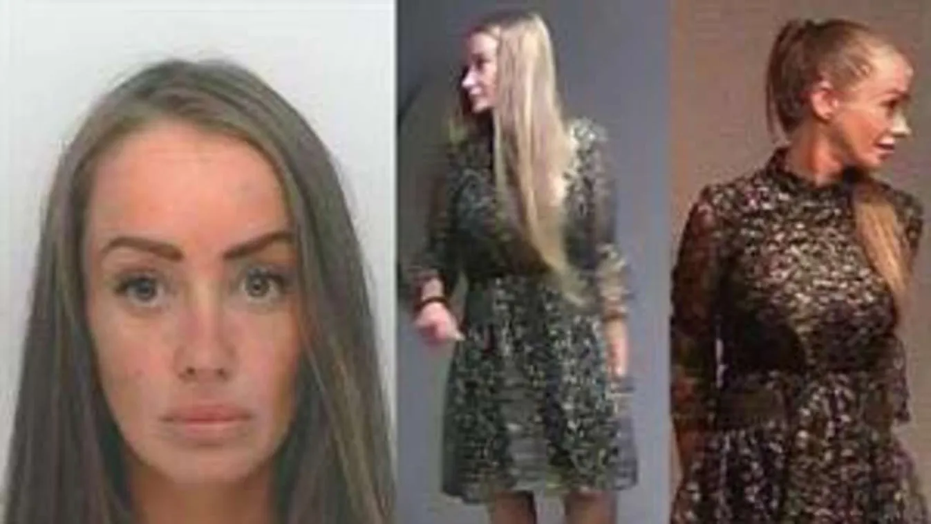 Magyar származású nő a főszereplője az Ausztriát politikai válságba sodró botránynak