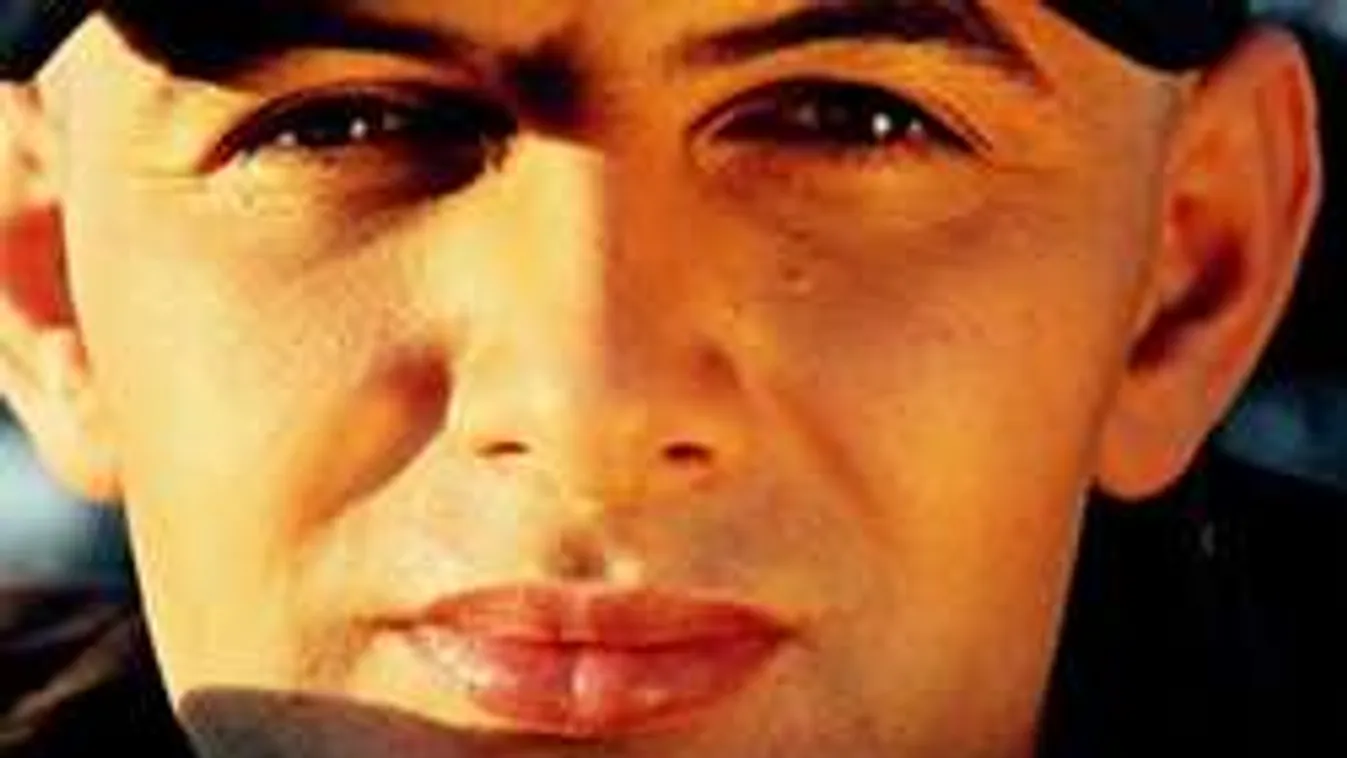 Ezért vághatja maga alatt a fát Vujity Tvrtko