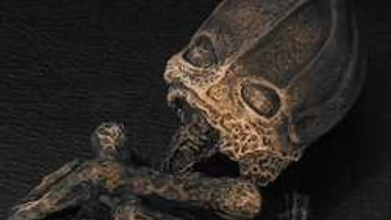 Kiderült: földönkívüli lényt csaptak agyon egy orosz faluban!