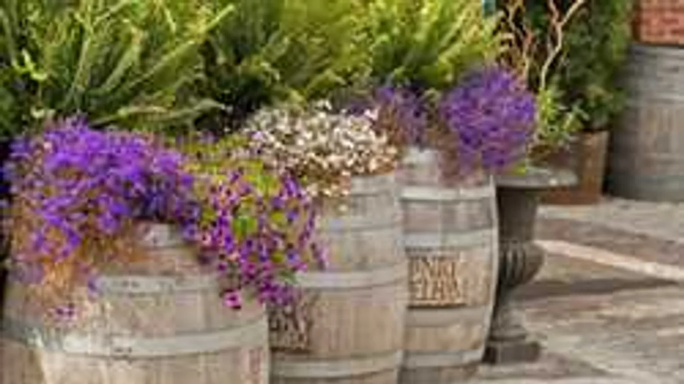 Ne dobd ki a régi holmikat, így haszáld fel a kertben