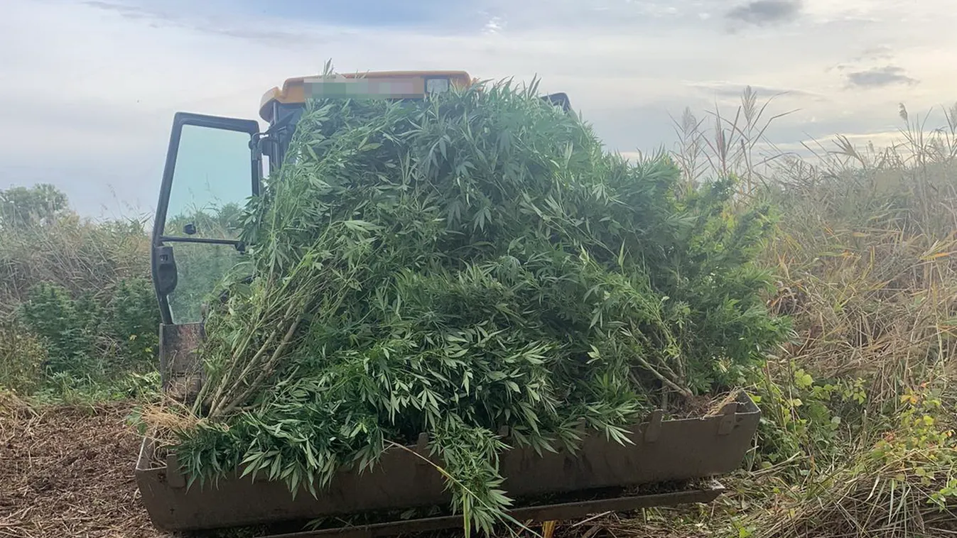 Állig felfegyverzett kommandósok csaptak le Csépán: durva, mit találtak – videó