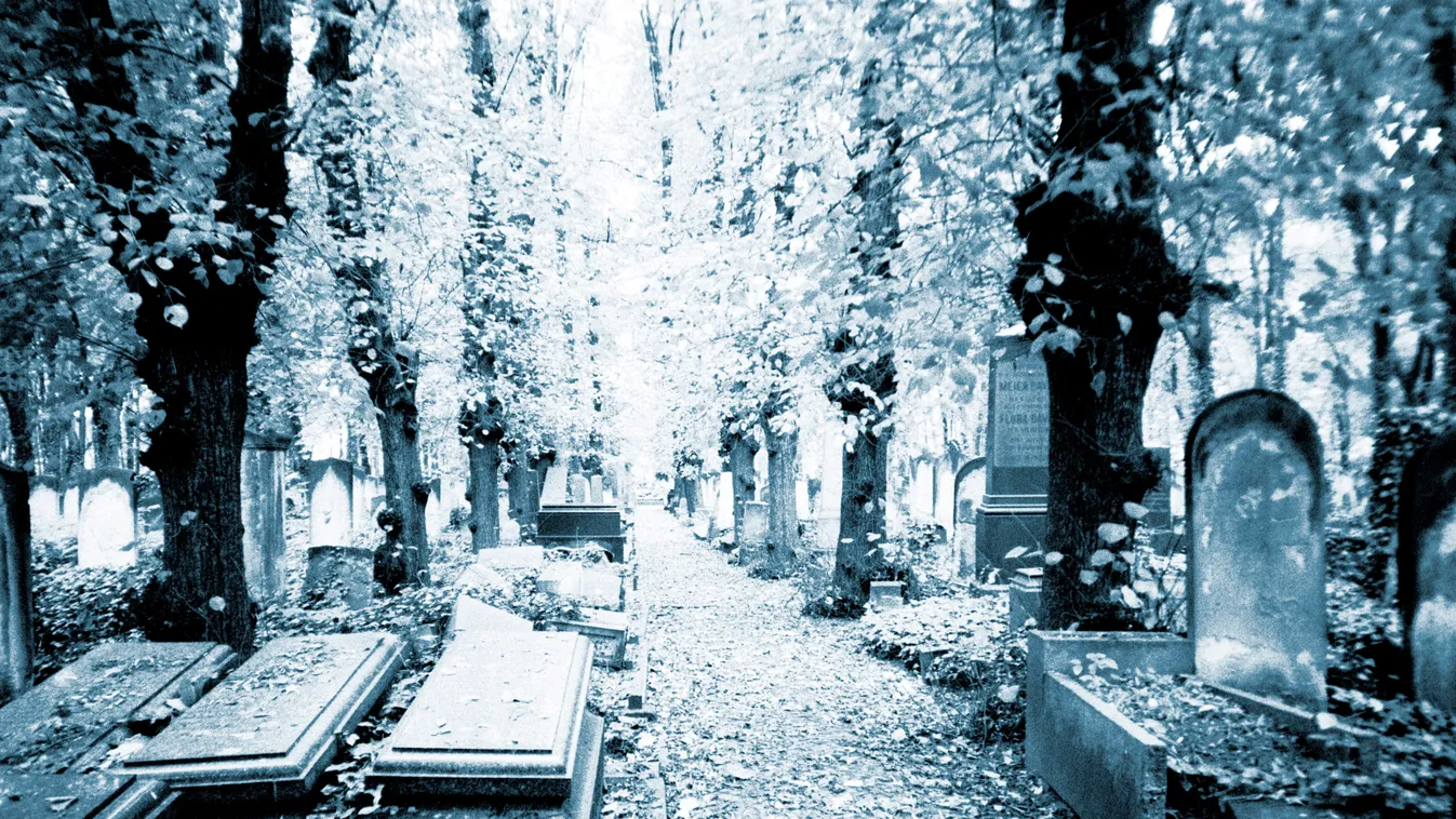 alter Friedhof in Prag / old cemetery in Prague