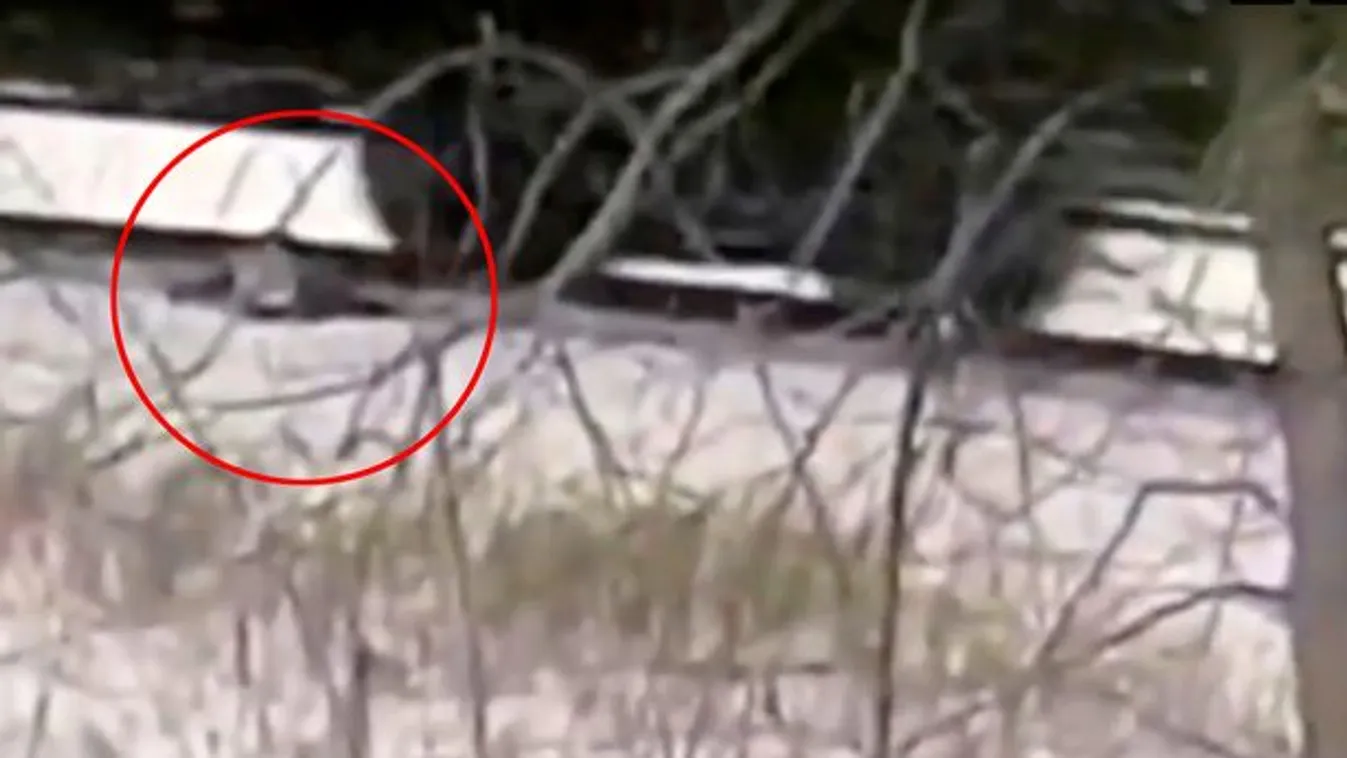 Levágta egy 11 éves kisfiú lábait a vonat, barátait akarta lenyűgözni – fotó