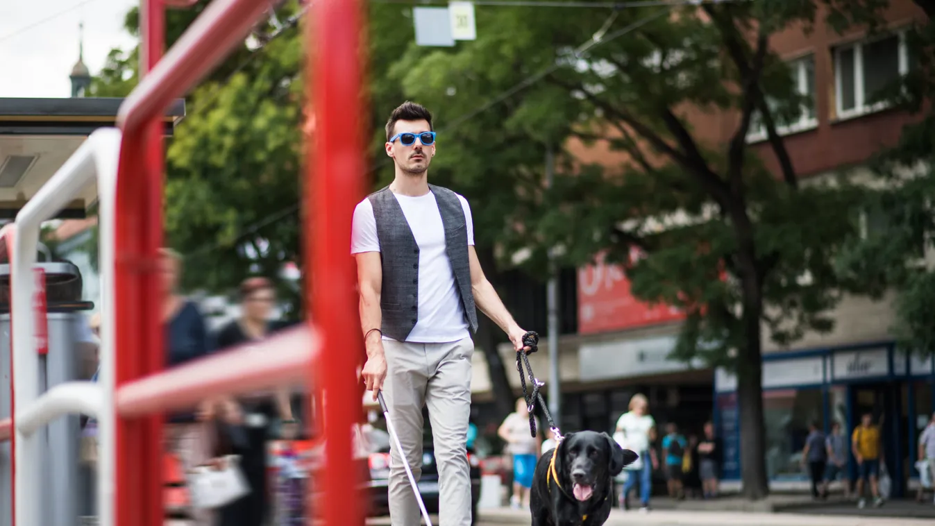 Világszenzáció: Budapesten nyílik jövőre a vakok látását visszaadó intézet