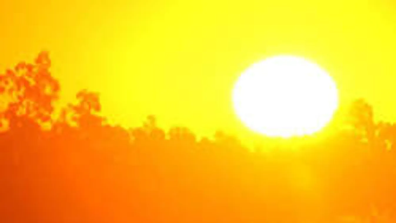 Most könyörögj ki egy nap szabit: elmondjuk, miért!