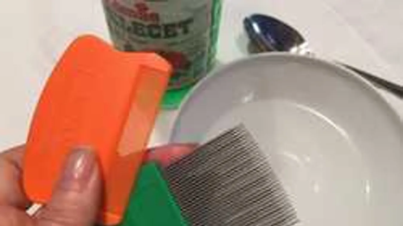 Durva, hogy mit visznek haza a gyerekek a suliból