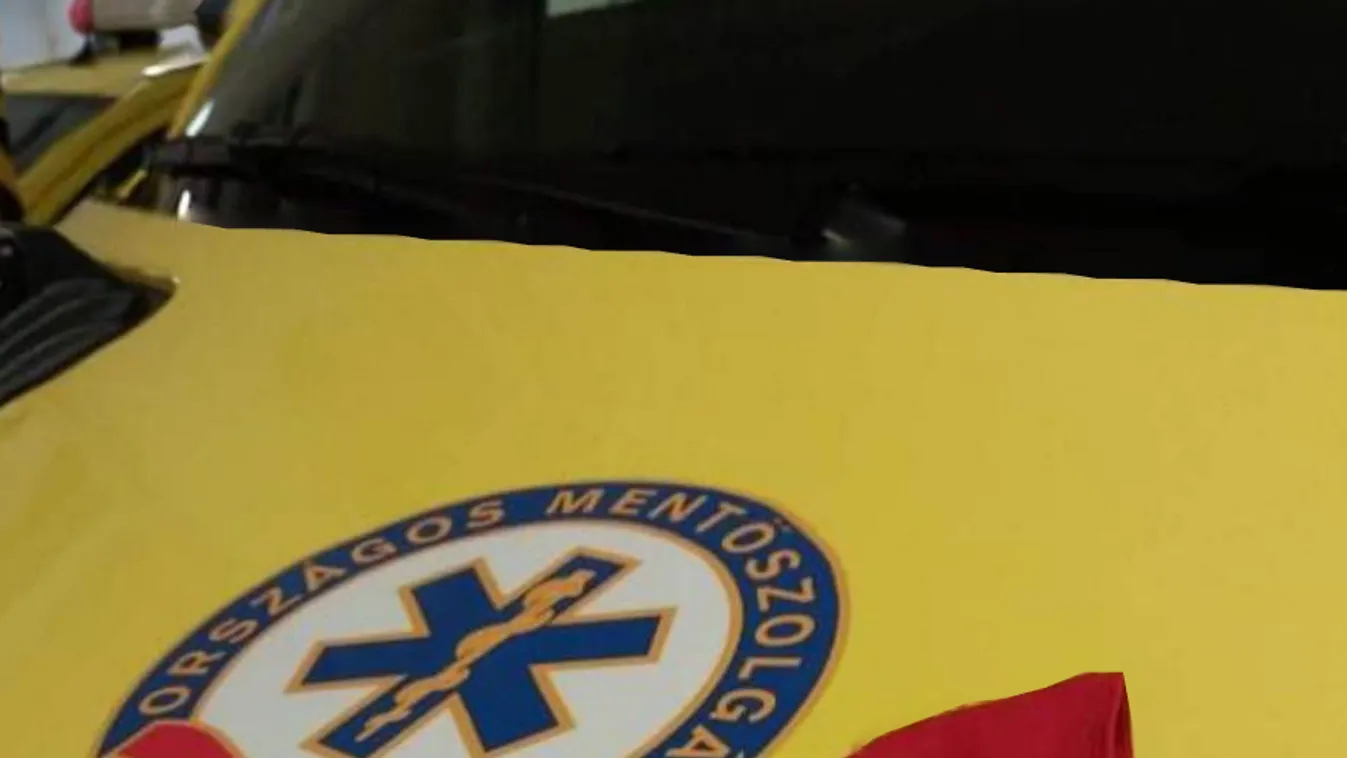 Titokzatos jótevőnek üzentek a mentők: ezt az ajándékot kapták – fotó