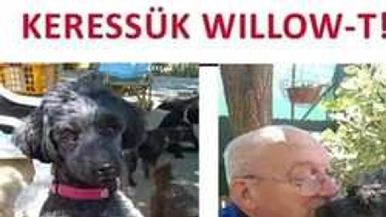 Mentőcsapatok keresik az isaszegi baleset egyik túlélőjét