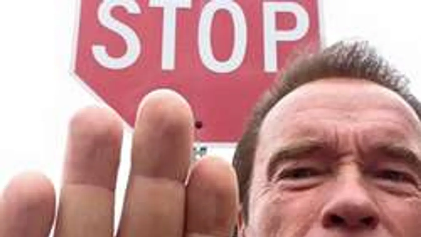 Schwarzenegger is bünteti az Oroszlánkirály gyilkosát