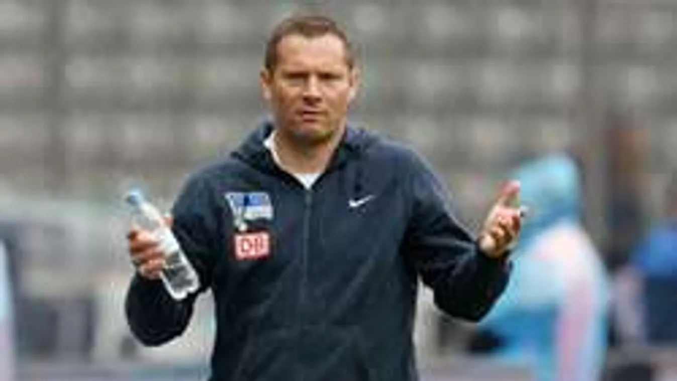 Furcsa, állatos videóval sértegetik Dárdai csapatát