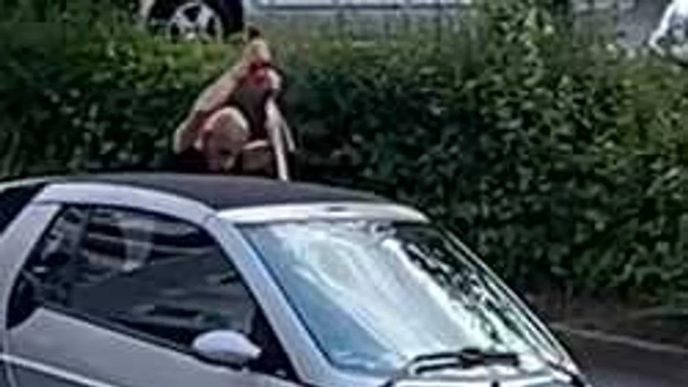 Videón, ahogy egy migráns lekaszabol egy férfit fényes nappal az utcán