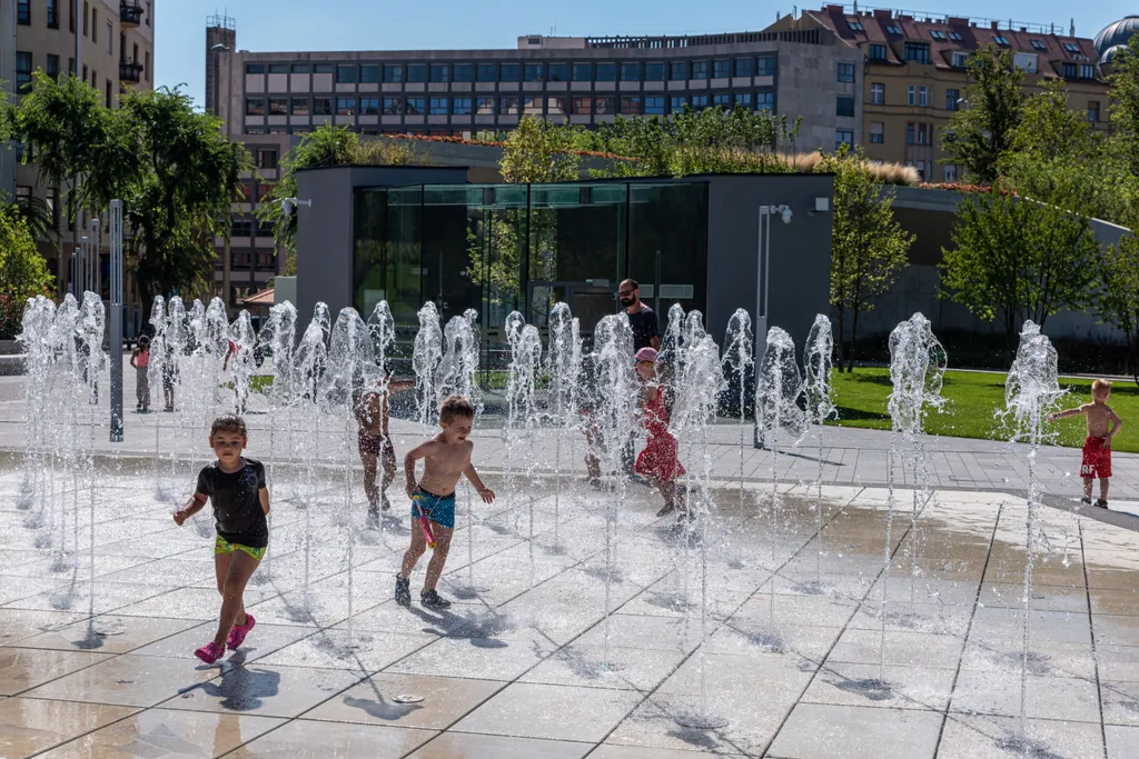 20200821_szellpark_SULY_ripost_02