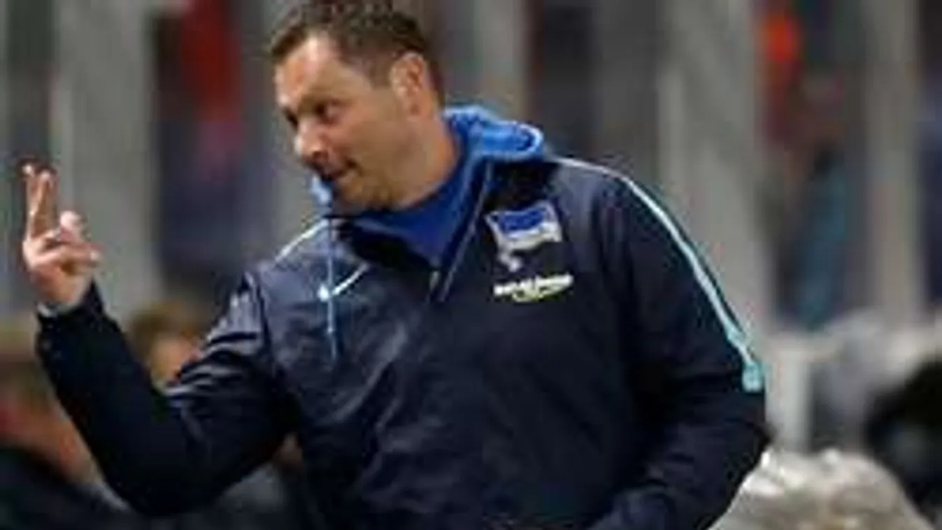 Dagad a kassza, Dárdaiék tévésztárok lesznek!