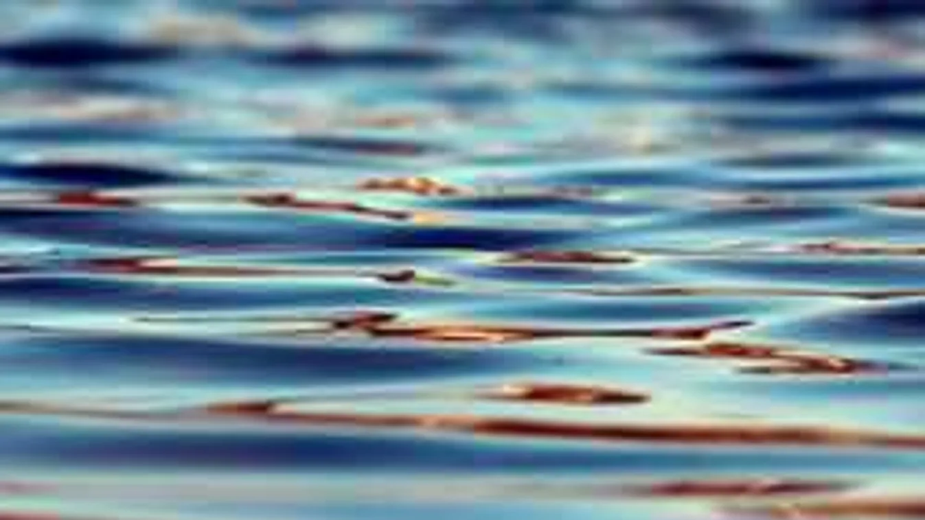 Meztelen női holttest lebegett a víz színén