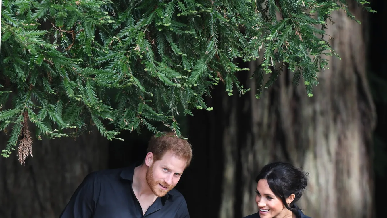 Royal tour of New Zealand - Day Four