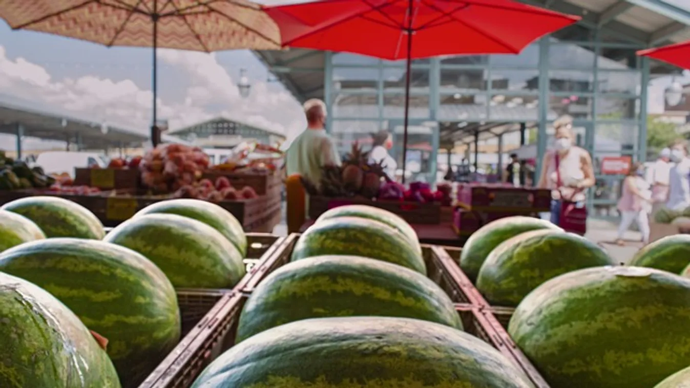 Te is kopogtatod a dinnyét? Felesleges, mutatjuk, hogyan kell választani!