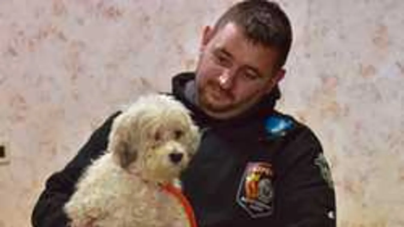 Gazdija bomló holtteste mellett találtak rá a kiskutyára