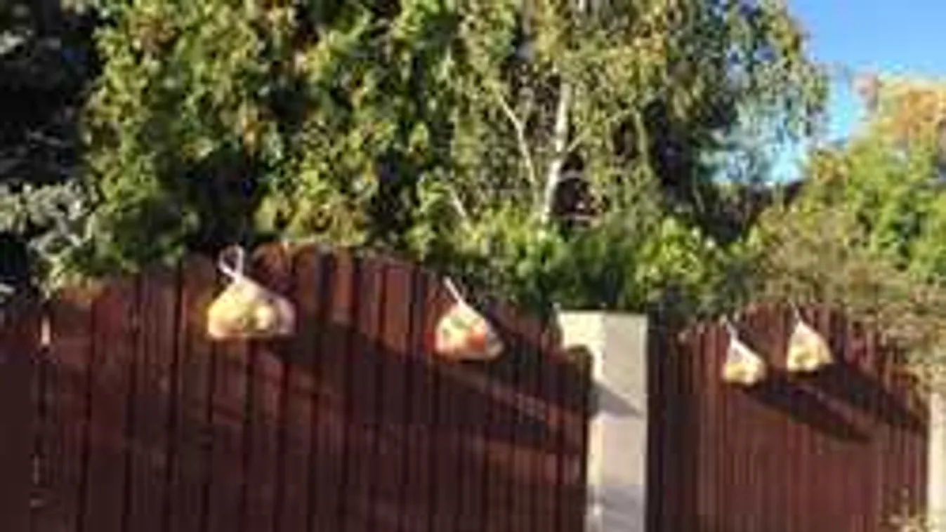 Itt adják ingyen az almát, hazánkat is elérte a norvég kezdeményezés