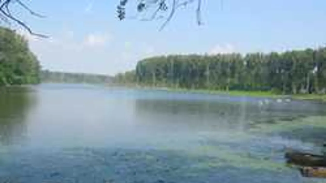 A mentők se hittek a szemüknek, így menekült meg a Tiszán ragadt férfi