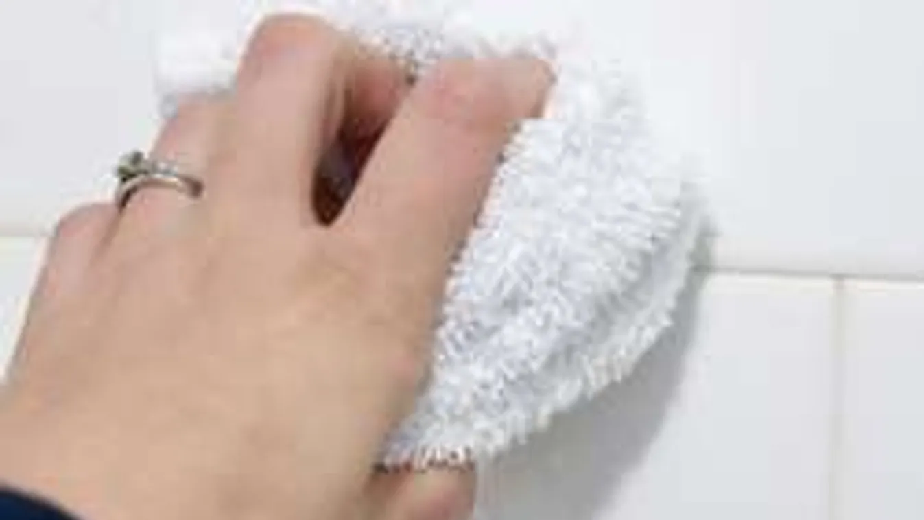 Így tüntesd el a penészt fillérekből