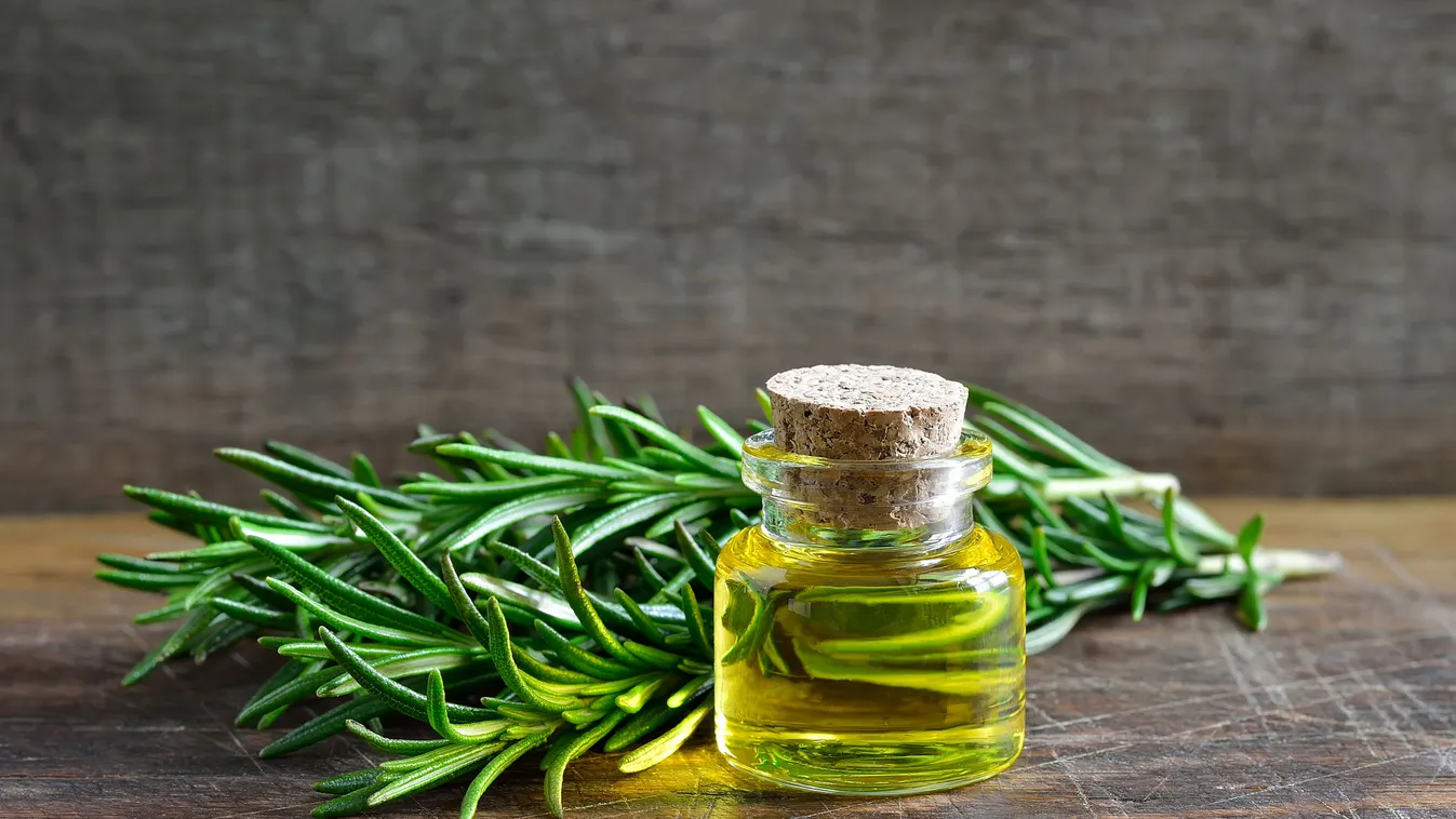 Elképesztő mennyi mindenre jó a rozmaring