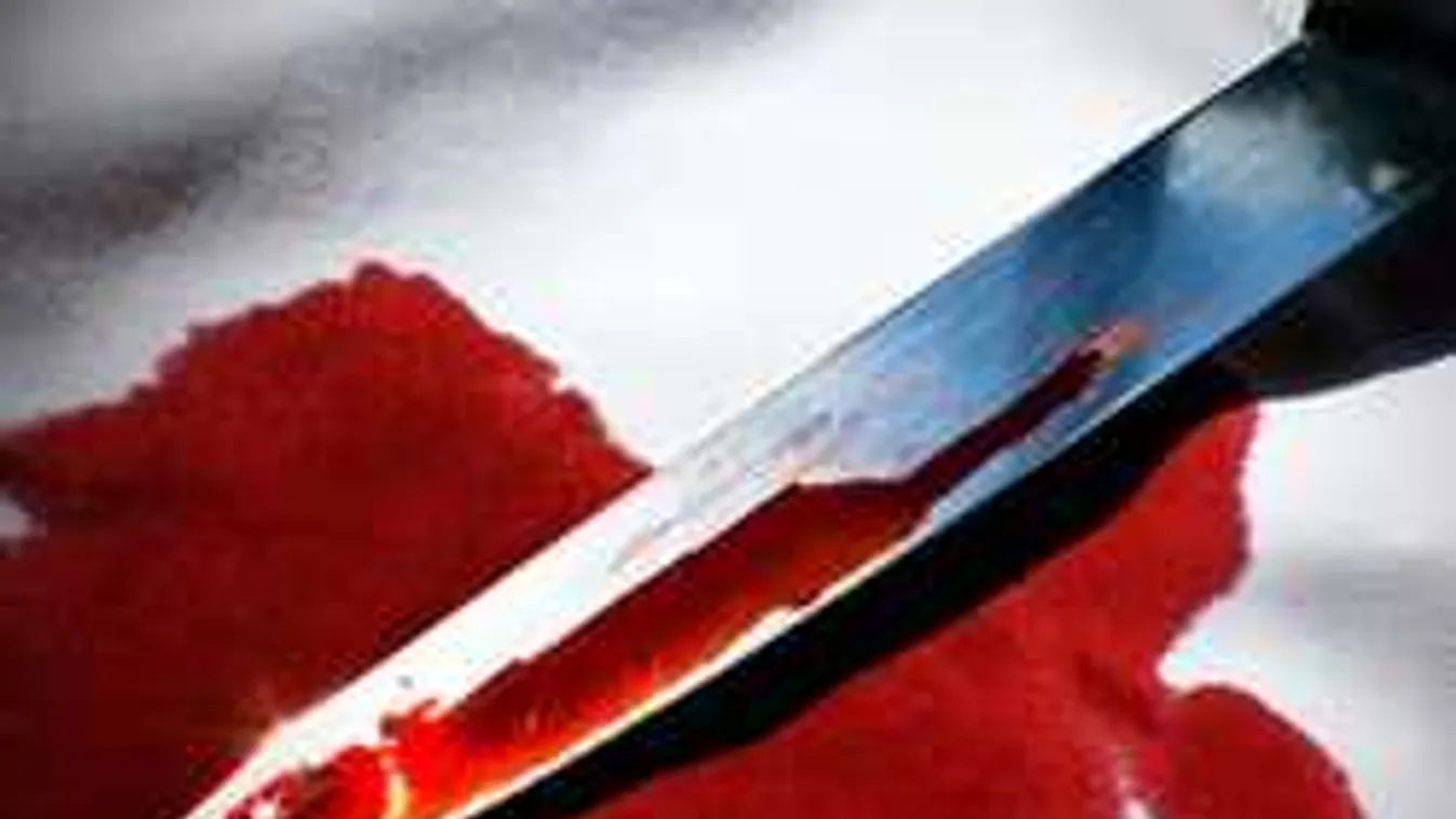 Brutális gyilkosság a faluban: Késsel a szívében találták meg az apát