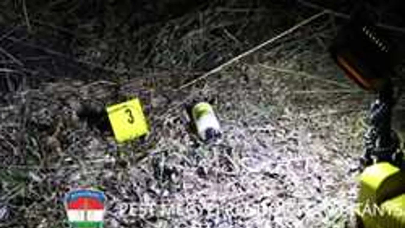 A bírák is elborzadtak: fejlemények a kakucsi gyilkosság ügyében