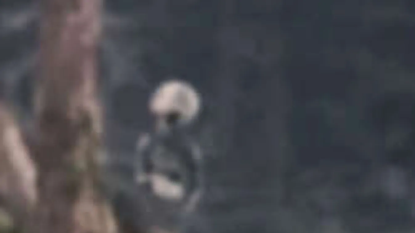 Földönkívüli landolásba futottak bele a lengyel kirándulók