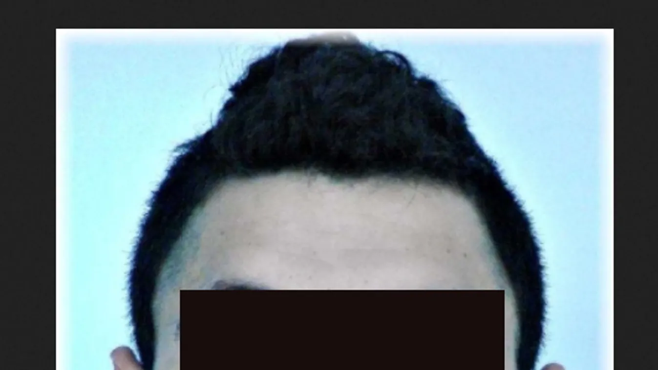 Mindent bevallott: ezért végzett a sályi néprajzkutatóval a tettes