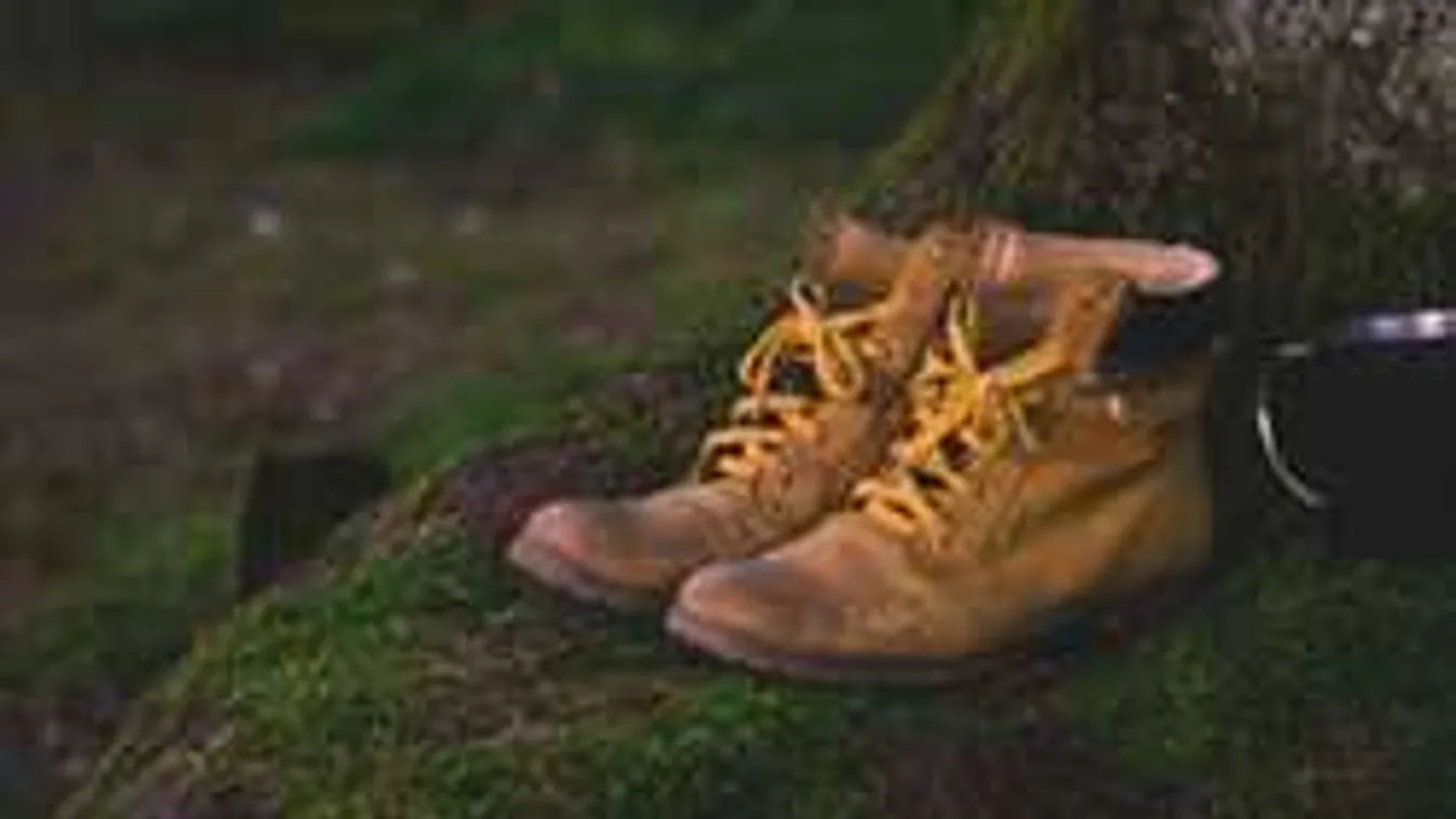 Családja szeme láttára halt szörnyet a hobbifotós