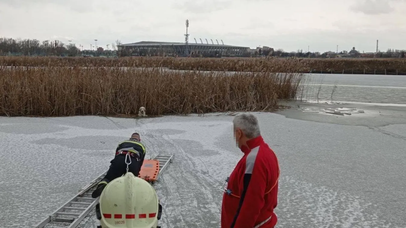 Beszakadt a jég a 15 éves lány és a kutyája alatt Székesfehérváron