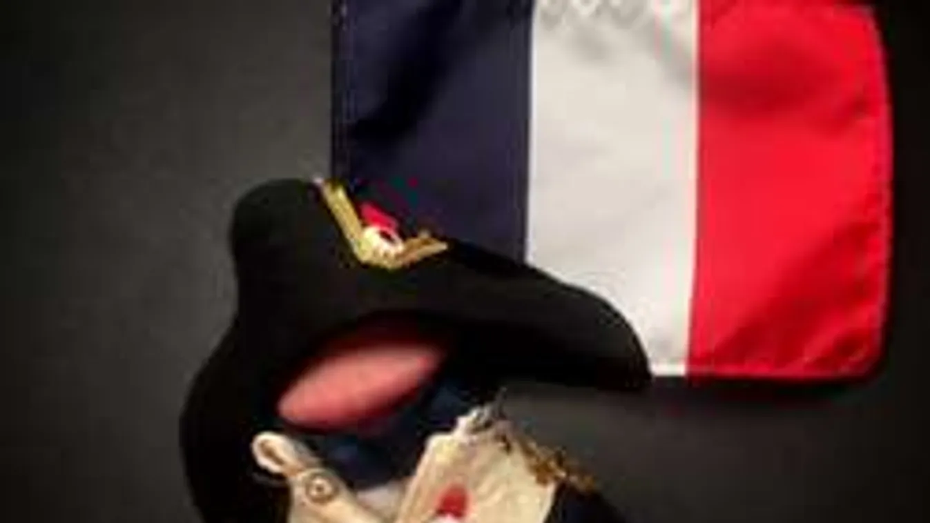 Ismerd meg a világ legcsinosabb fütyiöltöztető fotográfusát