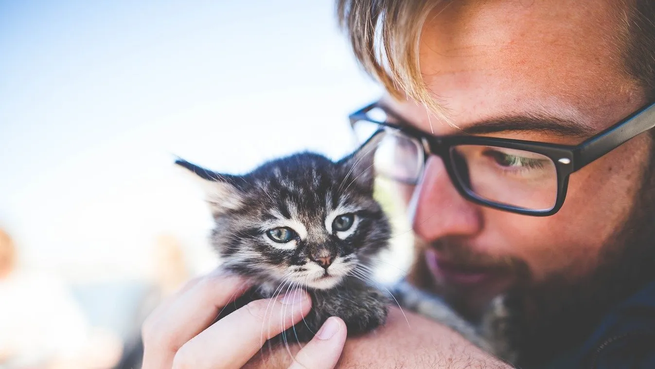Vérlázító: videóra vették a brutális állatkínzást a magyar fiatalok