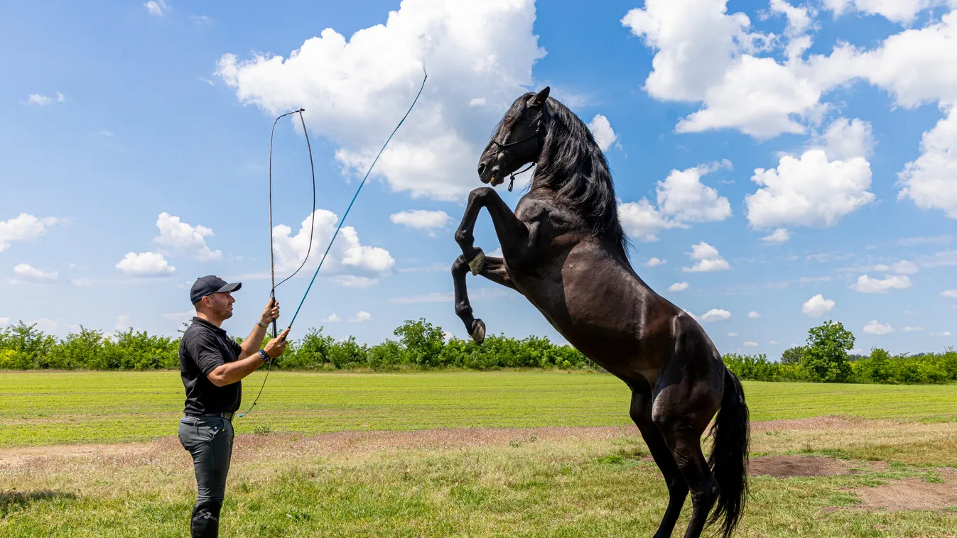 Magyar lovakon vágtáznak a legnagyobb filmsztárok, exkluzív riport