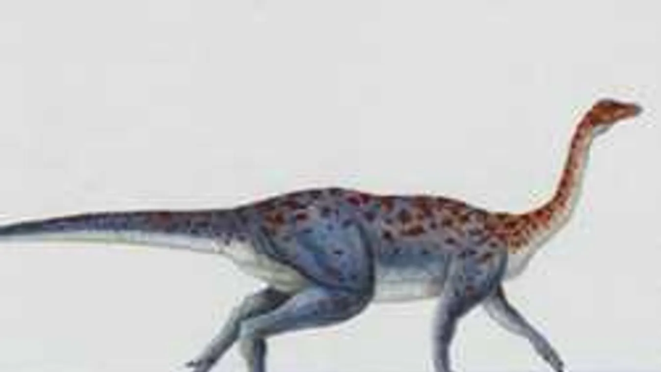 40 éve talált dínómaradványt vizsgáltak újra, elképedtek a kutatók is