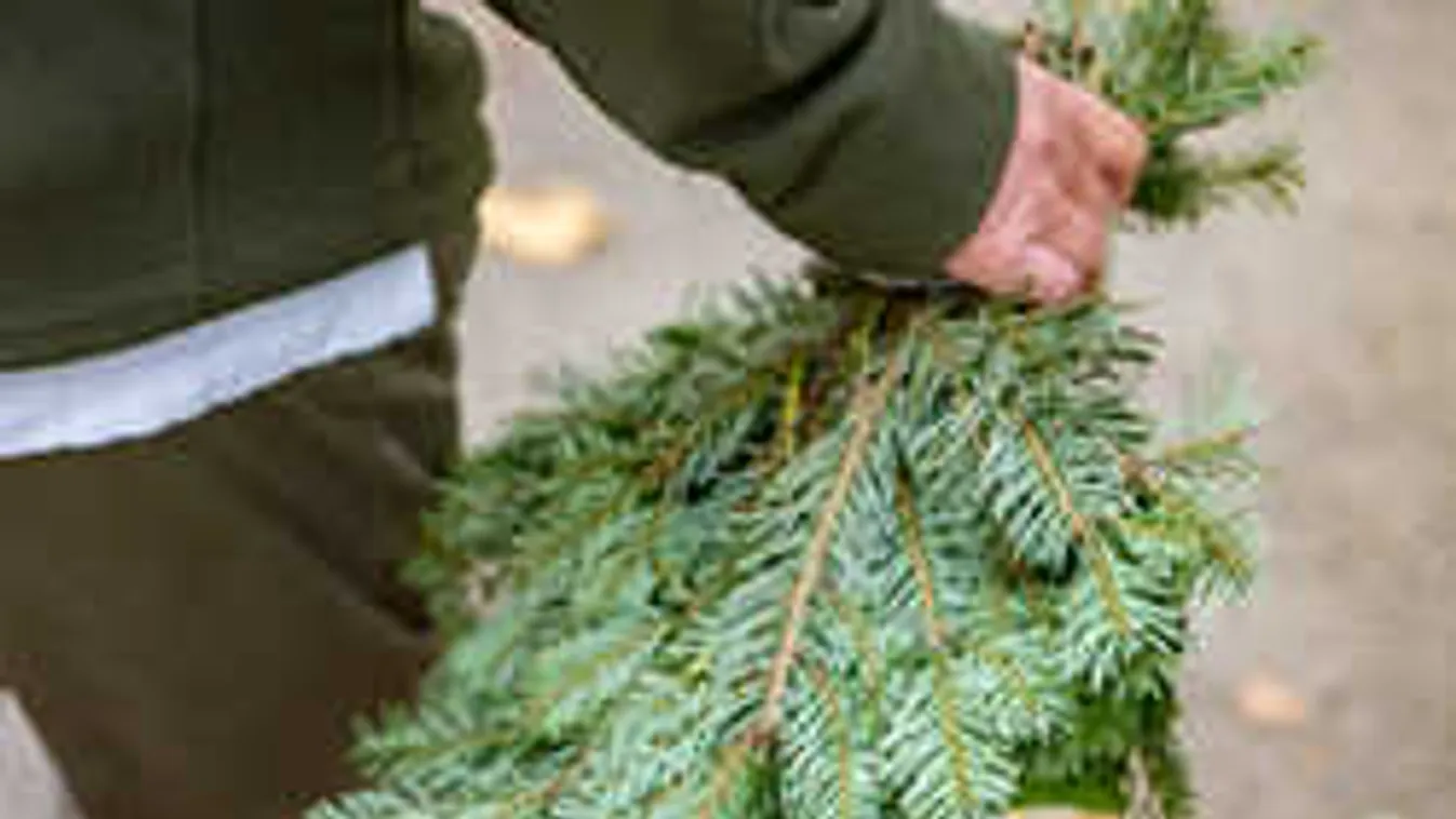 Ezért a tolvajok ünnepe a halottak napja