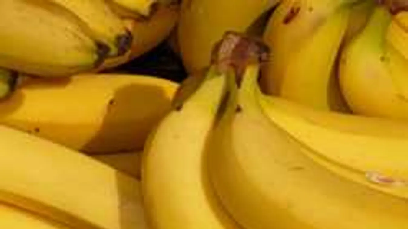 Banánvész: eltűnik a boltokból a kedvenc gyümölcsünk?