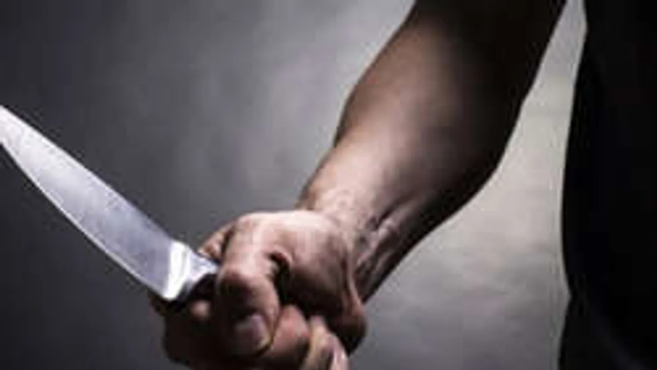 Vivien gyilkosát utánozta a győri késelő?