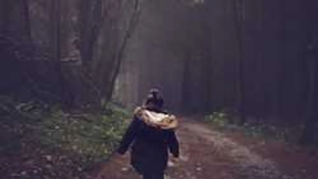 Családja sem akarta elhinni: furcsa helyen találtak az eltűnt kislányra