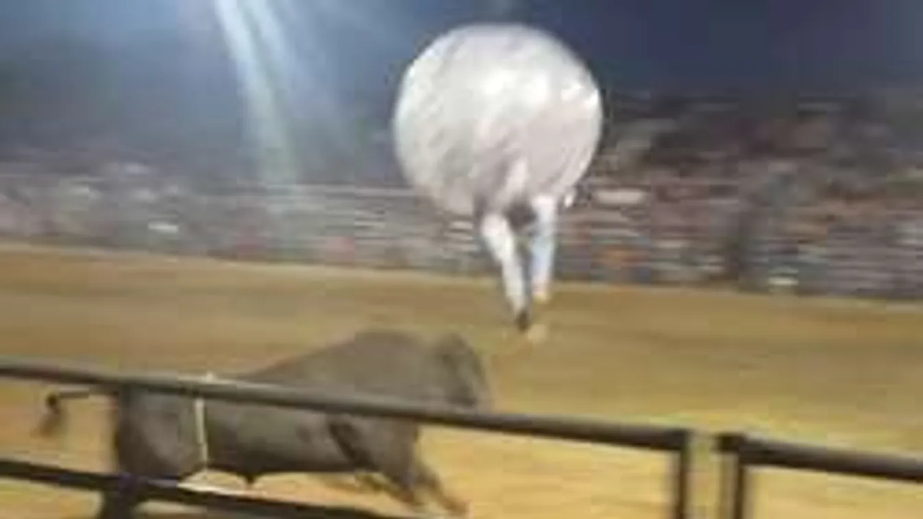 Így repül az ember, ha felökleli egy egytonnás bika - videó!