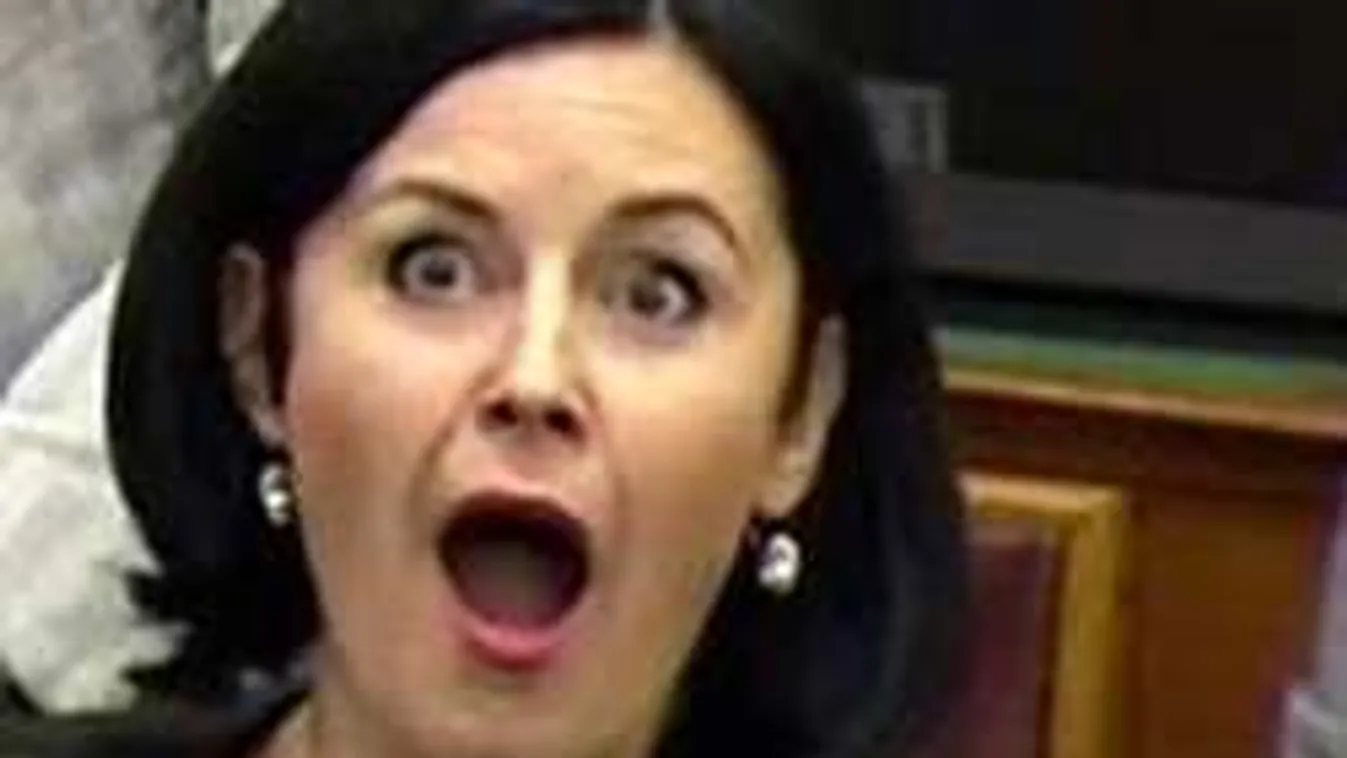 Berúgott vagy belőtte magát az MSZP politikusa