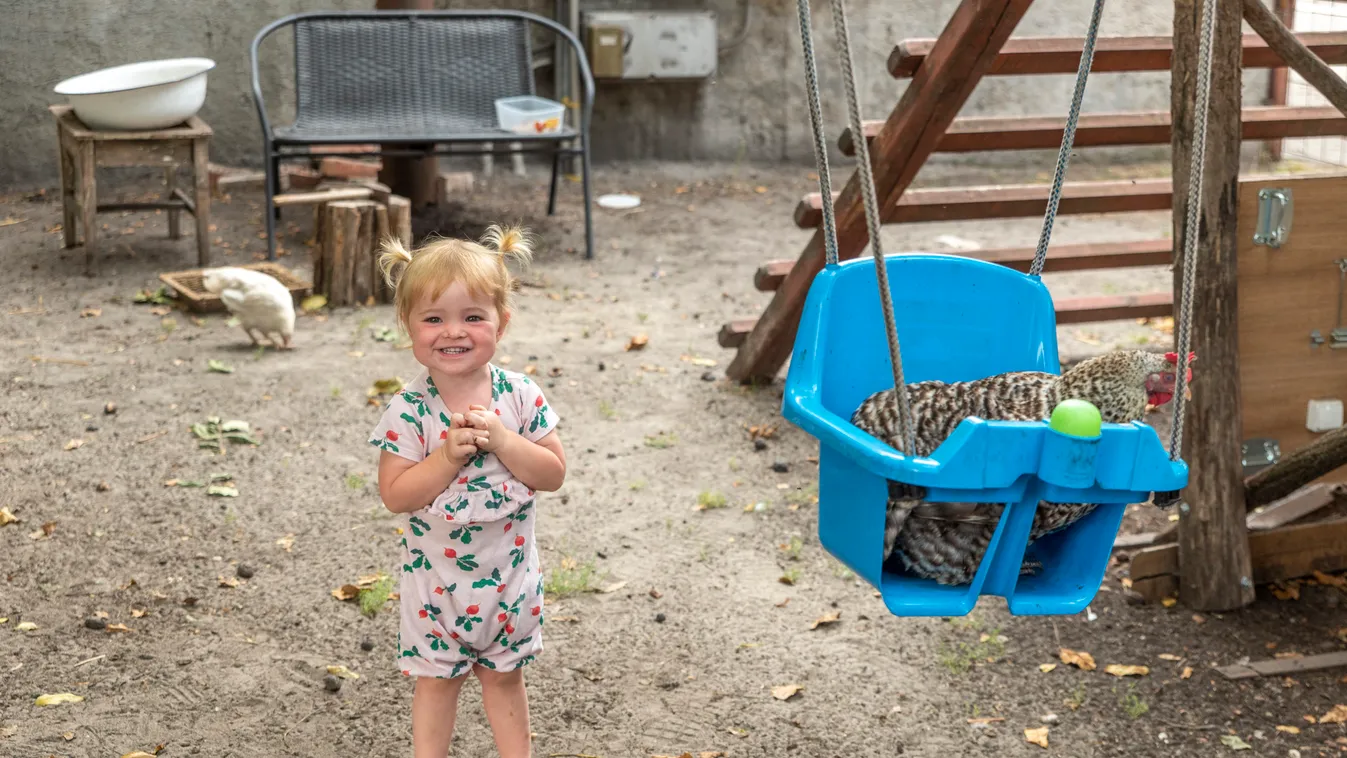Hintázik és homokozik a gyerekekkel a soltvadkerti csirke