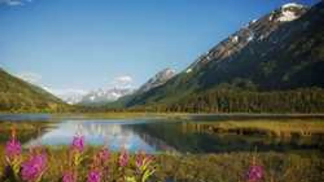 Bemutatjuk az amerikai tavaszt!