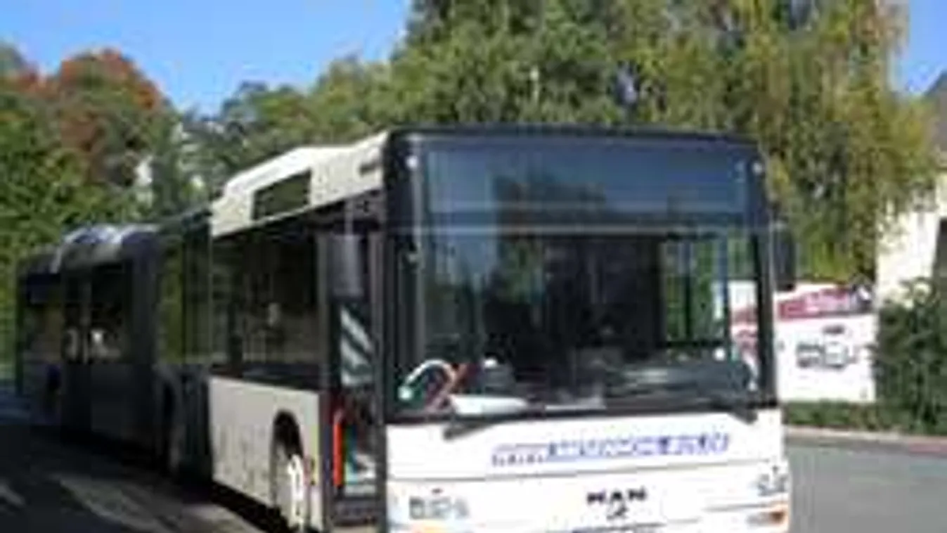 Részeg bevándorlók agyba-főbe vertek egy buszsofőrt