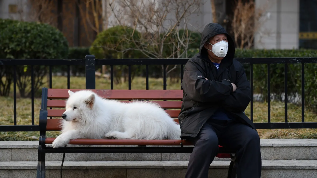 Sajtótájékoztató a koronavírusról: újabb magyarok rekedtek karanténban