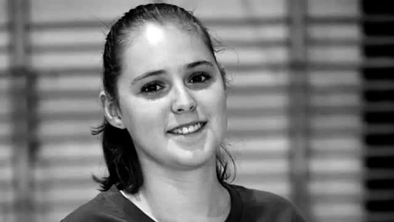 Vikit egy bedrogozott szlovák férfi gázolta halálra