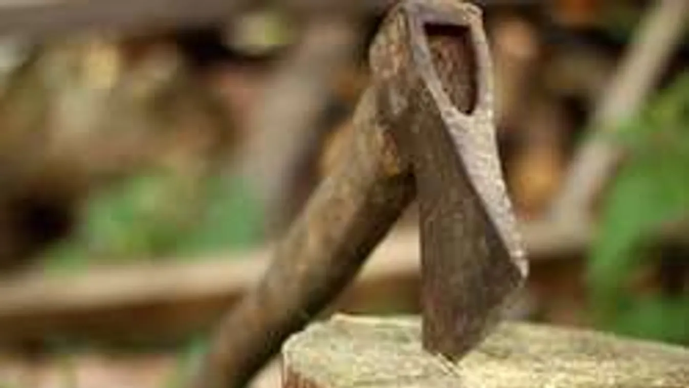 Két embert gyilkolt meg a drogos férfi Érden