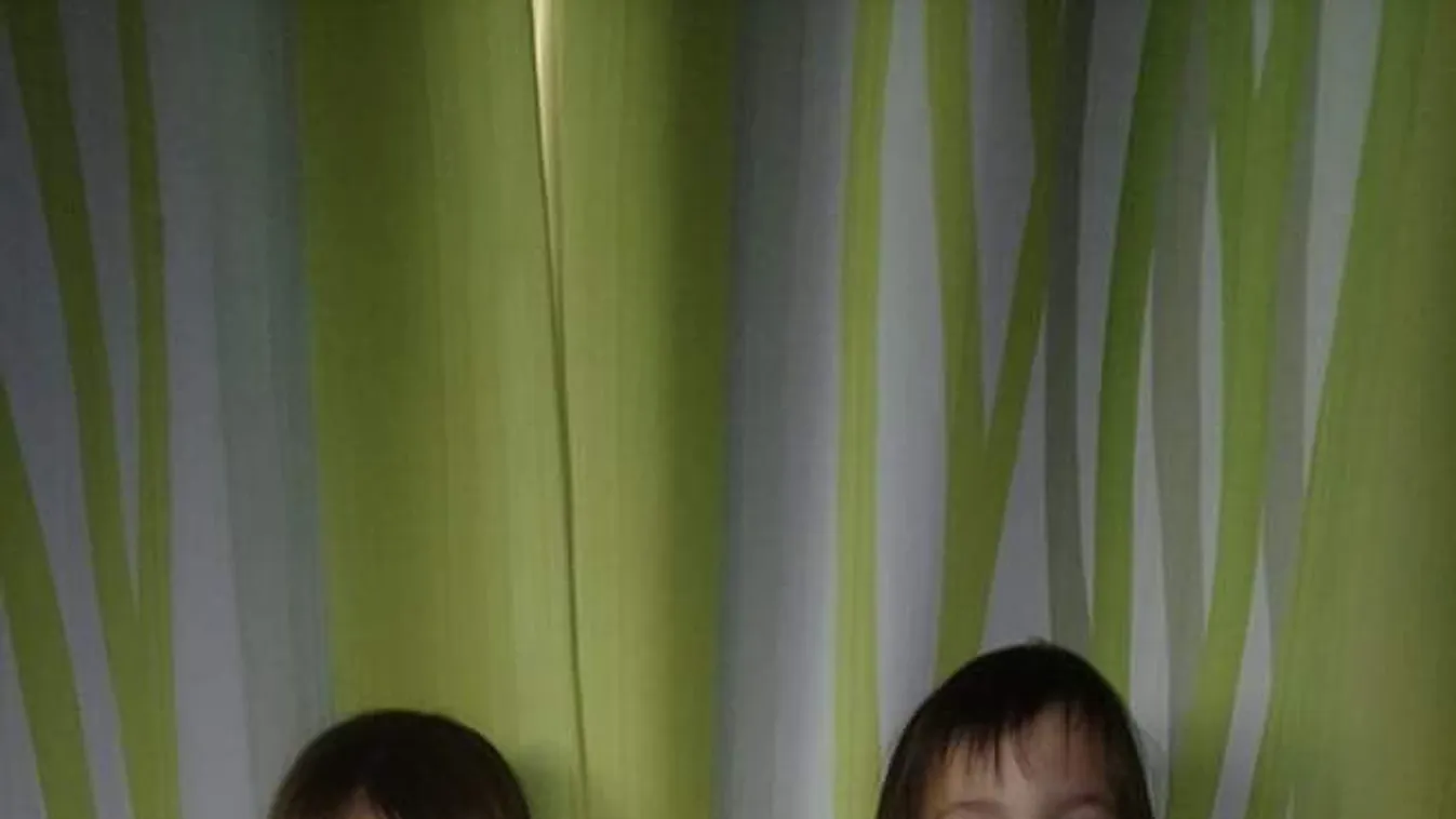 Saját kutyát kap a megharapott hároméves kislány