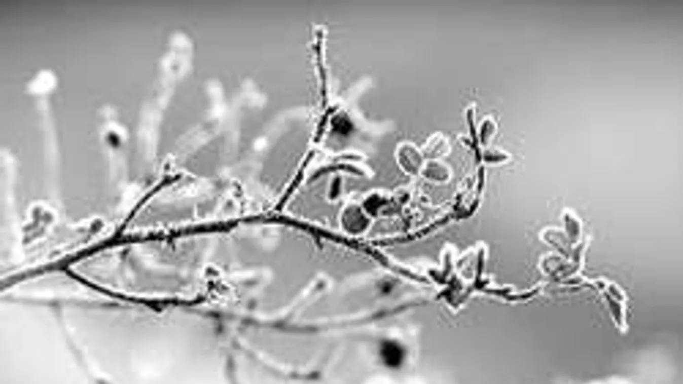 Bekeményít az időjárás: Még kegyetlenebb hideg tart Magyarország felé