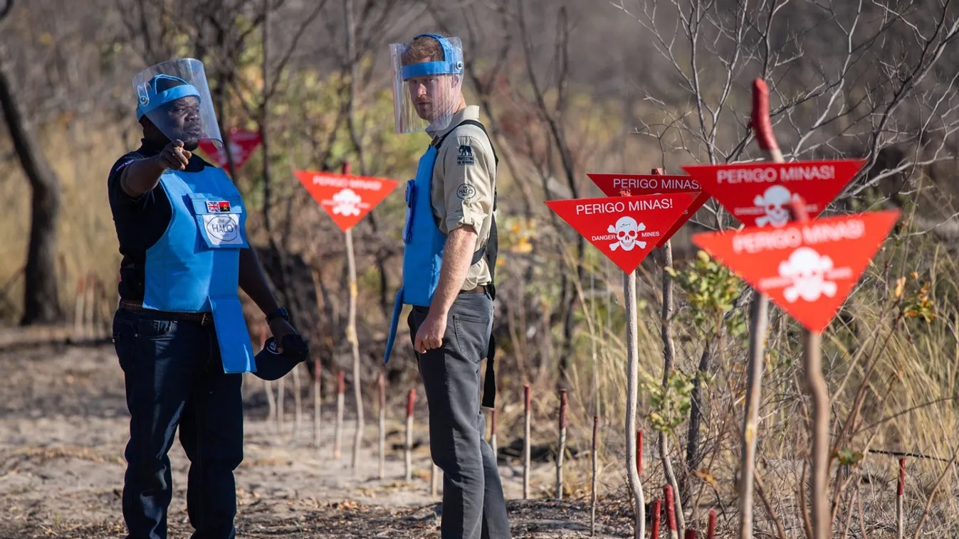 Royal visit to Africa - Day Five